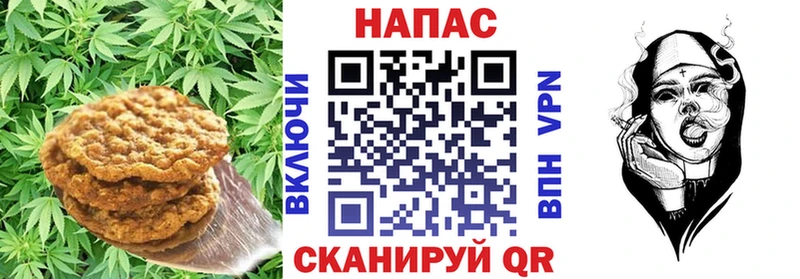 Canna-Cookies марихуана  Приволжский 
