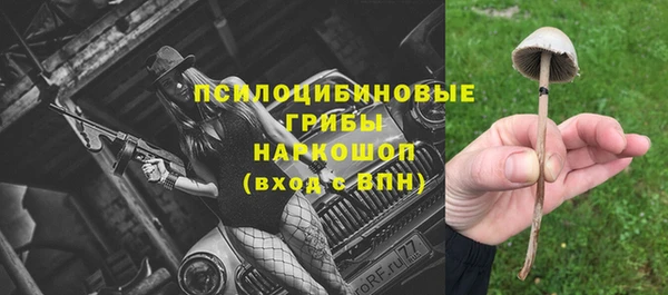 винт Алексеевка