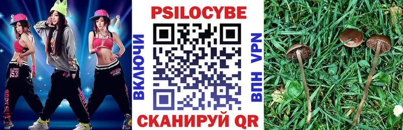 Галлюциногенные грибы GOLDEN TEACHER  наркошоп  Приволжский 